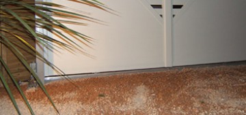 veranda bois-developpement durable-lavelanet